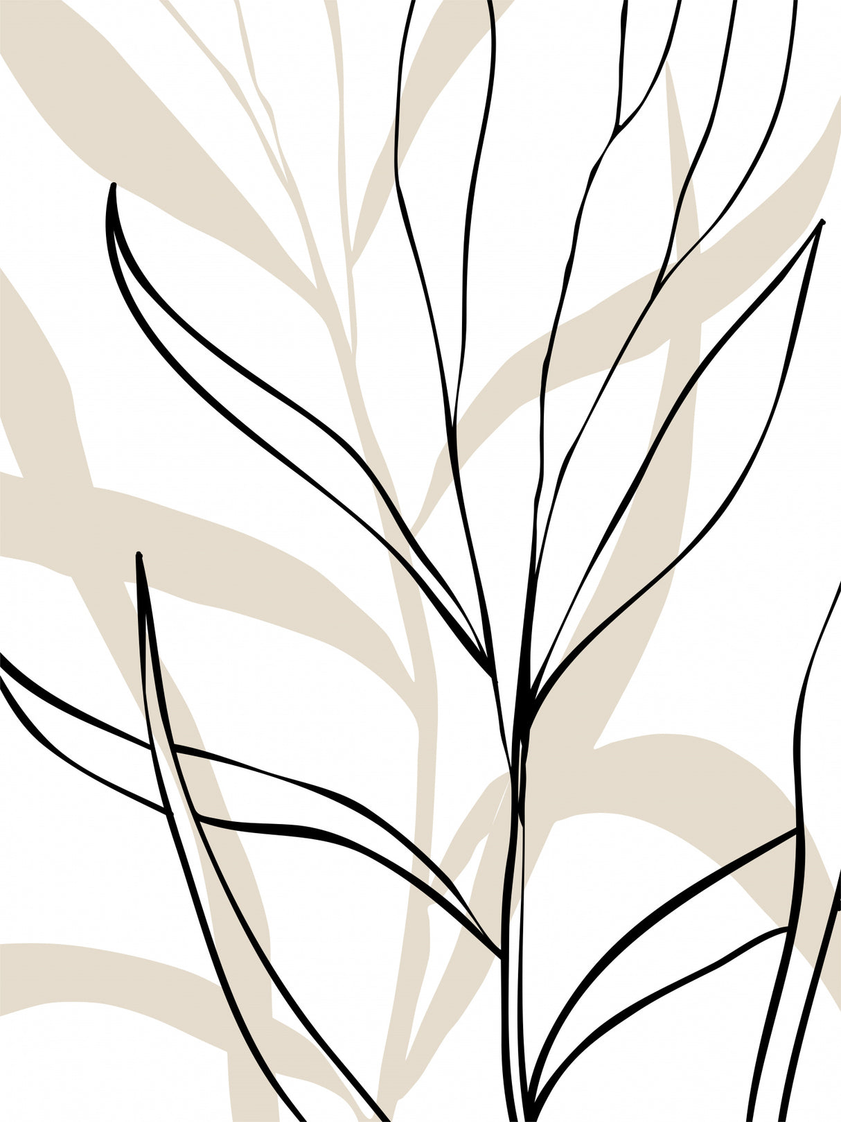 Botanical Lines Art Poster och Canvastavla