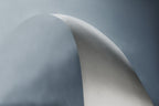 White bow Poster och Canvastavla
