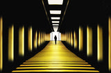 Sunny path Poster och Canvastavla