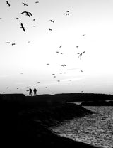 Beside the sea Poster och Canvastavla