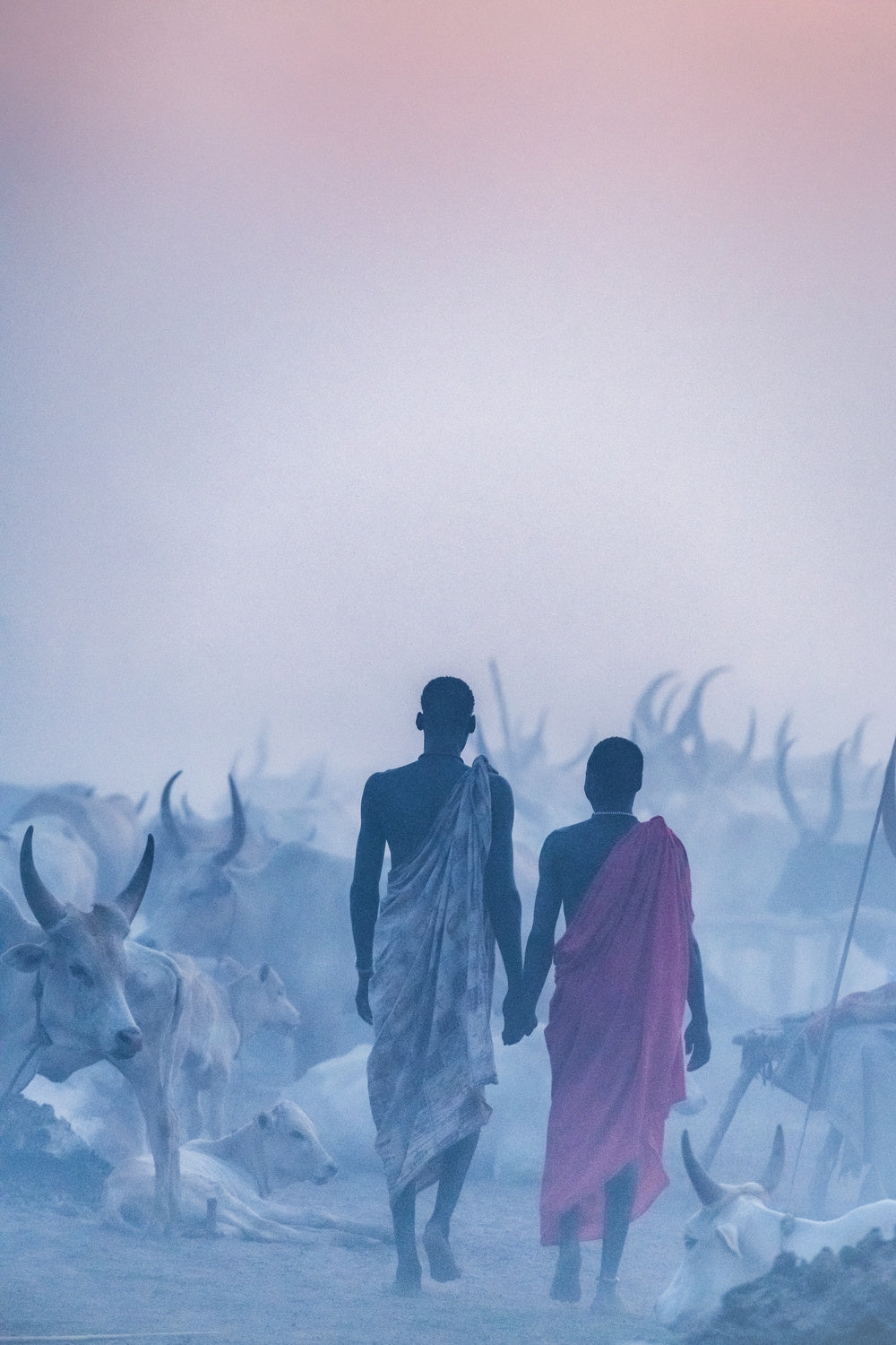Mundari camaraderie Poster och Canvastavla