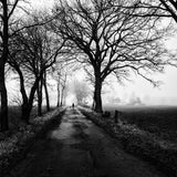 Lonely way back home Poster och Canvastavla
