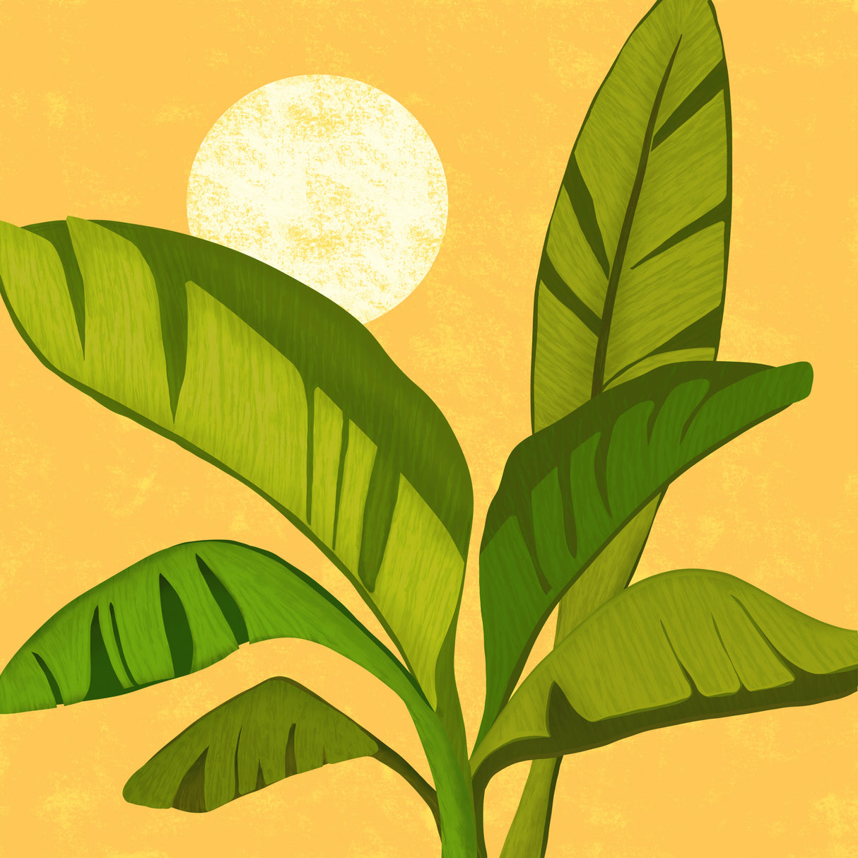 Sunny Golden Tropics Poster och Canvastavla