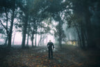 The Last Of Us Poster och Canvastavla