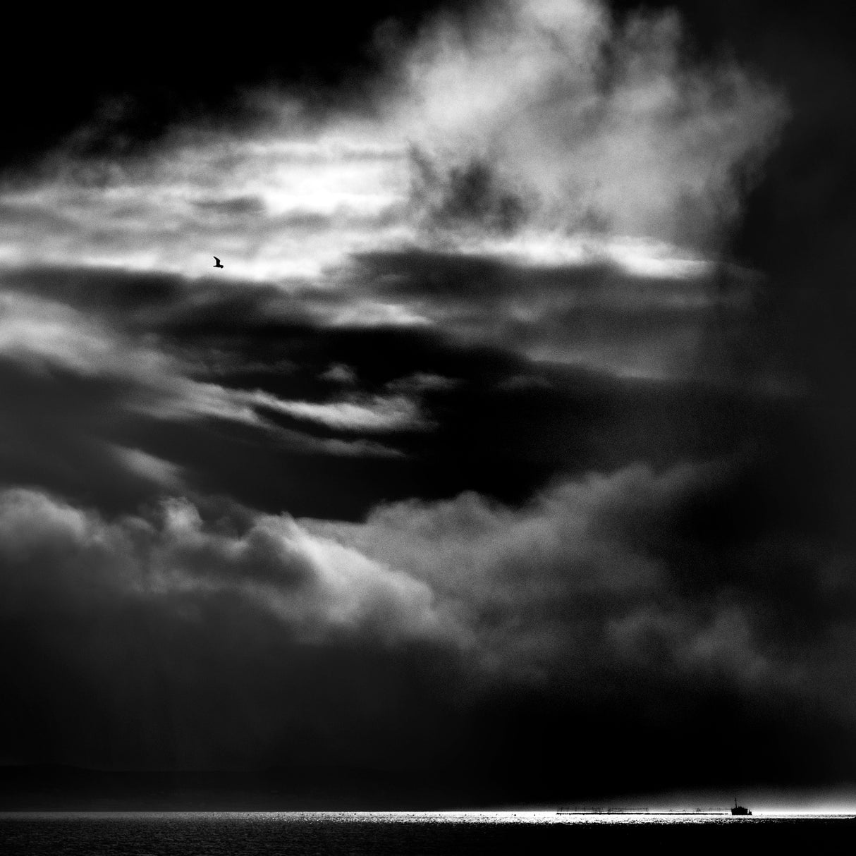 Sailing Poster och Canvastavla
