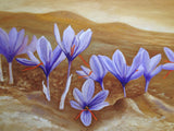 Saffron Flowers Poster och Canvastavla