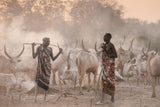 A conversation Poster och Canvastavla