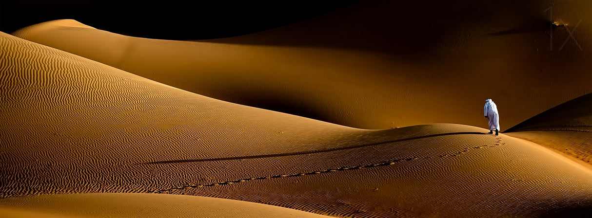Shades &amp; footprints Poster och Canvastavla