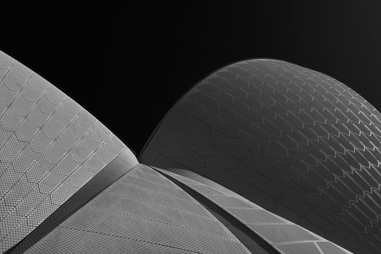 Sydney Opera Study Poster och Canvastavla