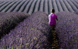 World of purple Poster och Canvastavla