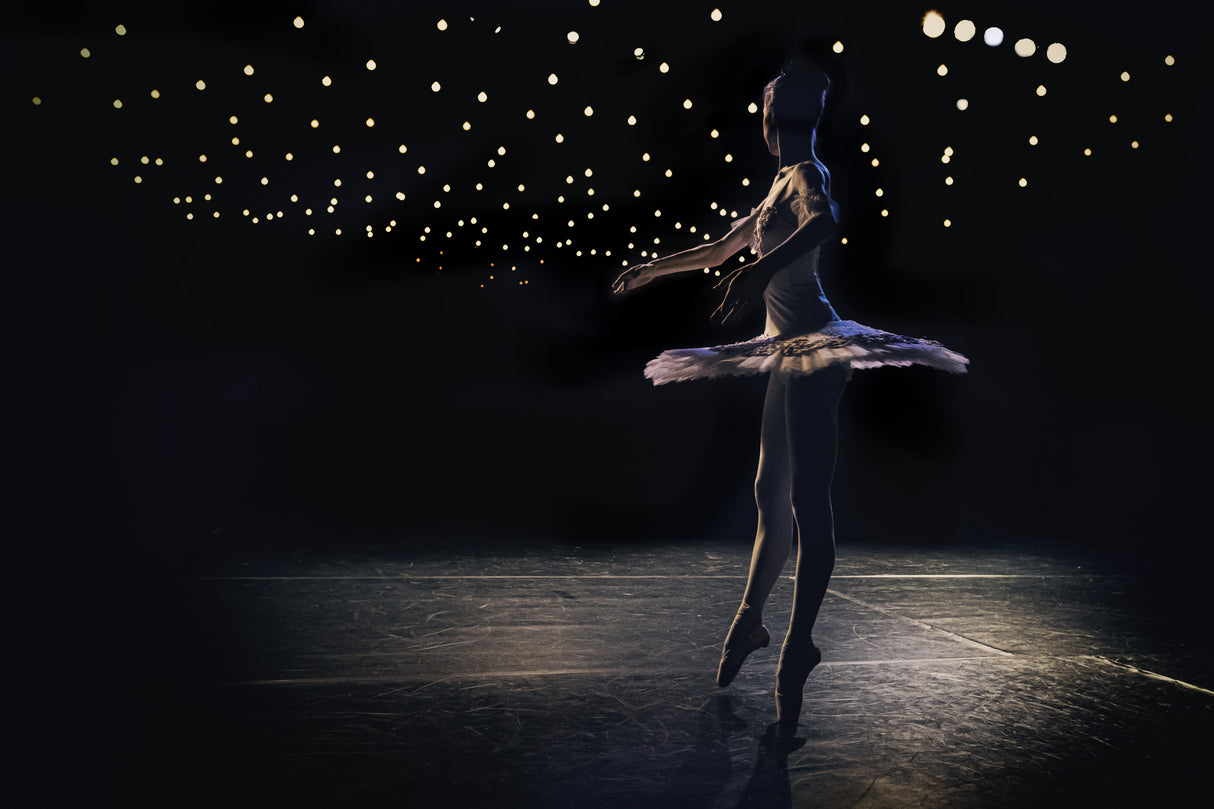 Ballet Poster och Canvastavla