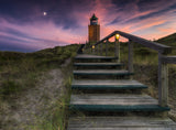 Way to lighthouse Poster och Canvastavla