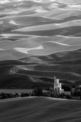Palouse Fields Poster och Canvastavla