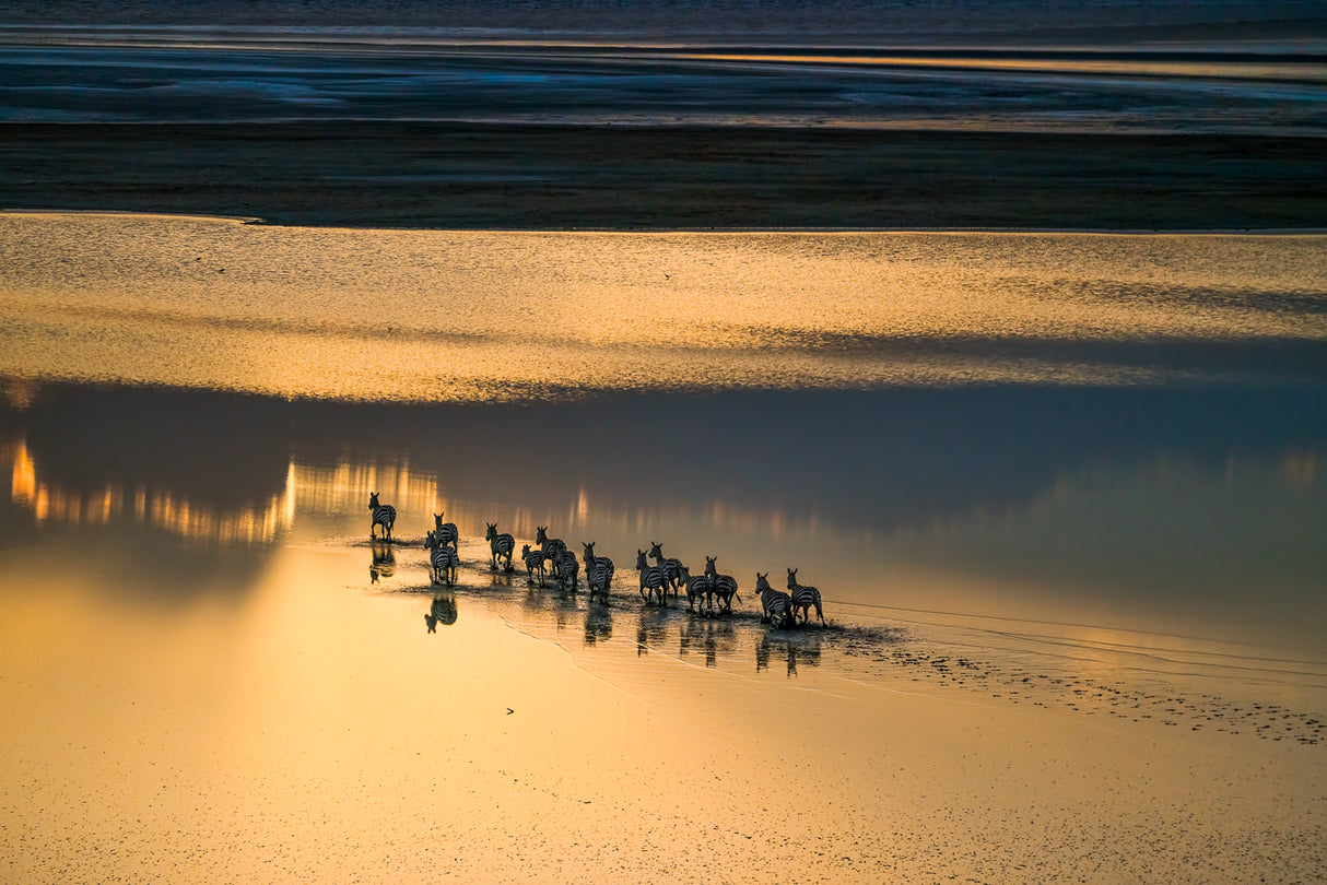 Sunset Crossing Poster och Canvastavla