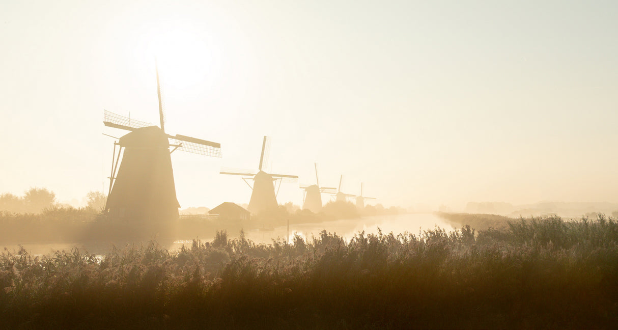 Kinderdijk Poster och Canvastavla
