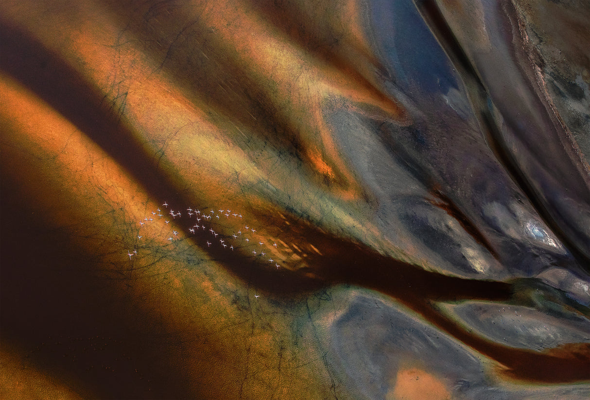 Pattern in Magadi Lake Poster och Canvastavla