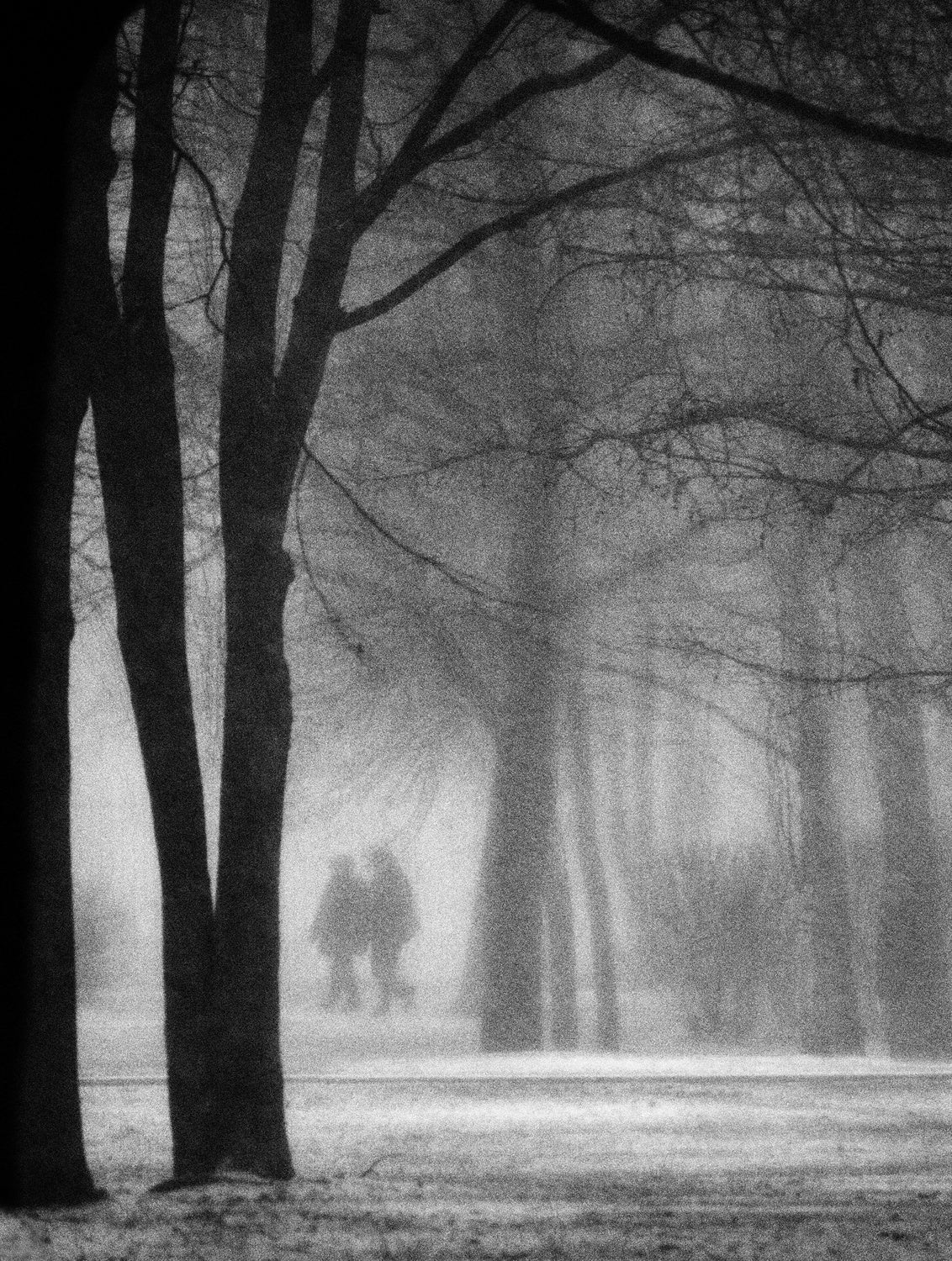 Snowstorm Poster och Canvastavla