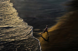 Boy Running On The Beach Poster och Canvastavla
