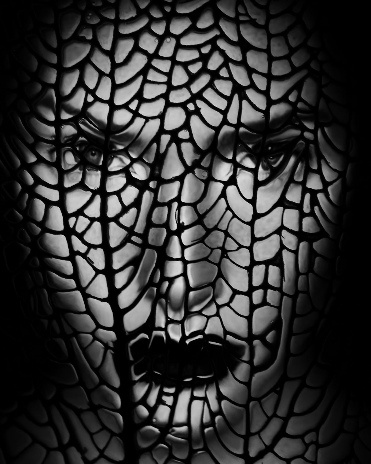 Face Abstract Poster och Canvastavla