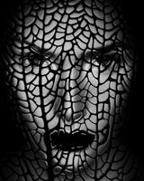 Face Abstract Poster och Canvastavla