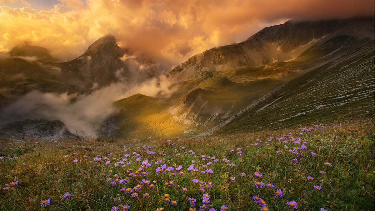 Mountain dreams Poster och Canvastavla