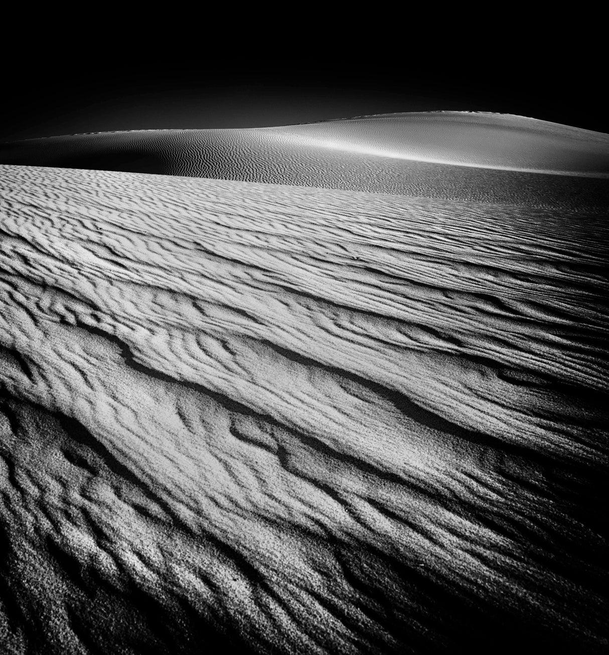 Mesquite Dune Poster och Canvastavla