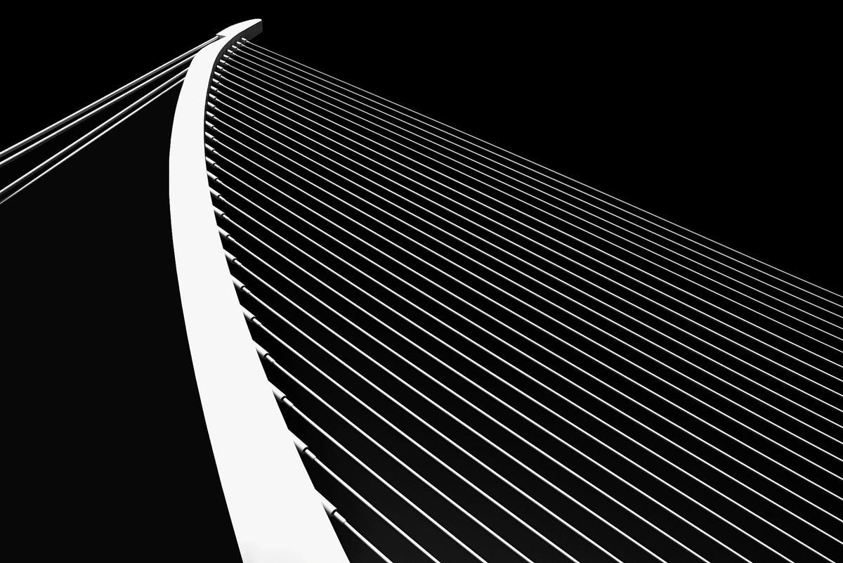 Abstract Poster och Canvastavla