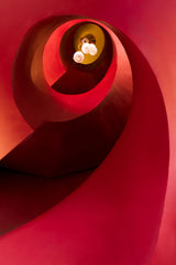 Look up Poster och Canvastavla
