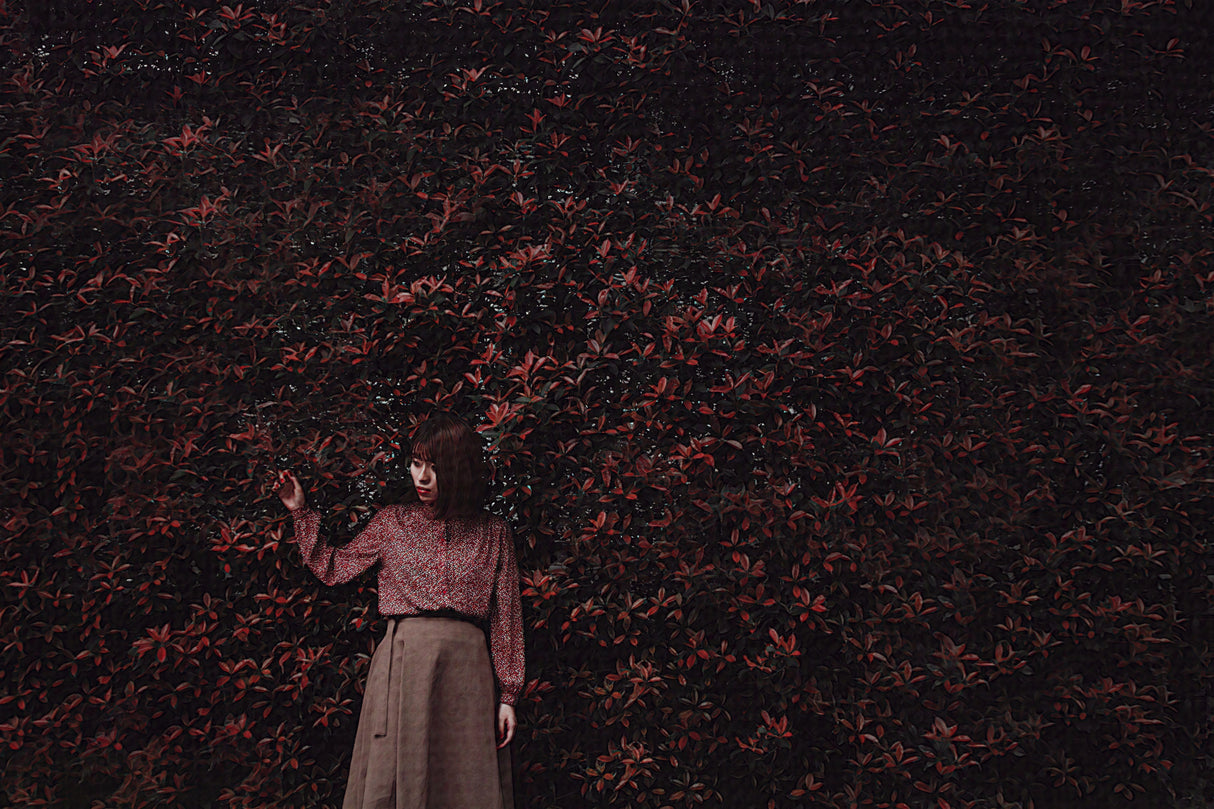 buried red Poster och Canvastavla