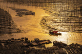 Oyster Beds Poster och Canvastavla