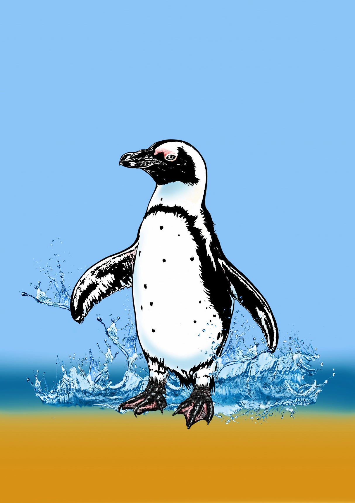 Cute Penguin splashing Poster och Canvastavla