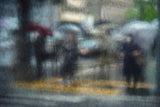 Rainy day in the city Poster och Canvastavla