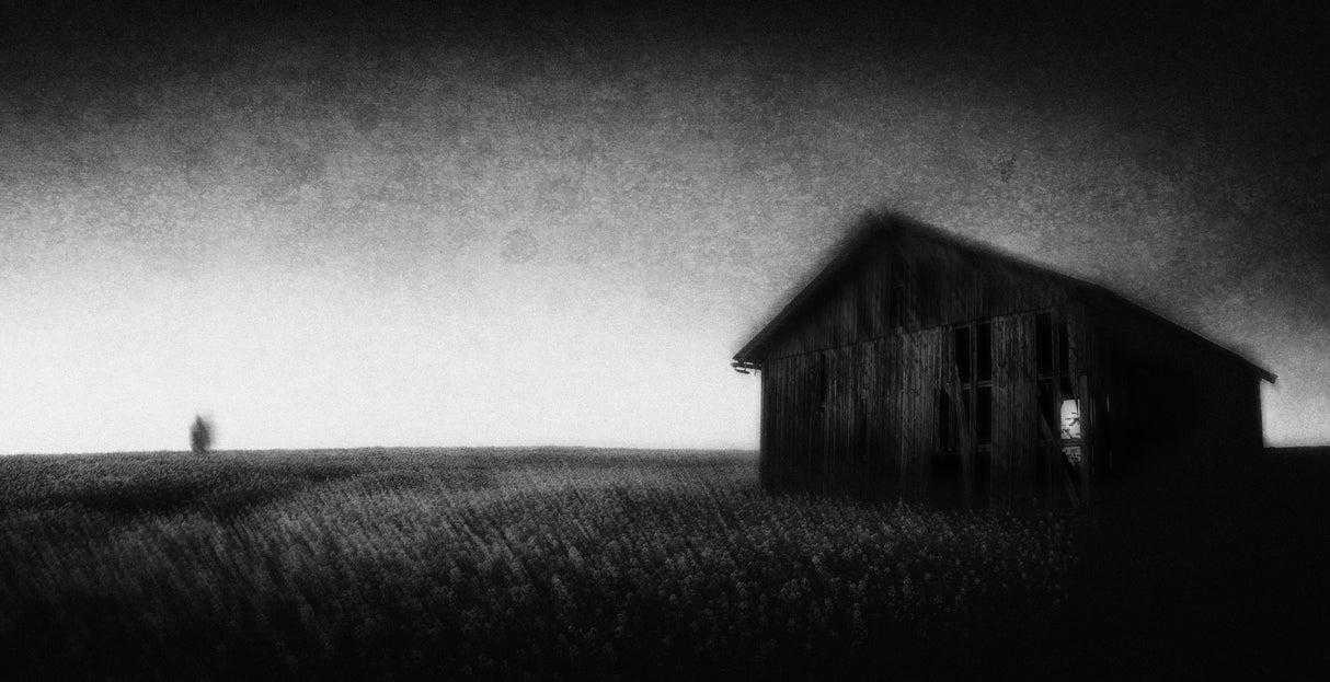 Dark Ground Poster och Canvastavla
