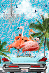 Flamboyance California Dream Poster och Canvastavla