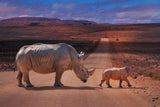 RhinosCrossing Poster och Canvastavla
