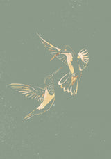 Sage Green Gold Hummingbirds Poster och Canvastavla