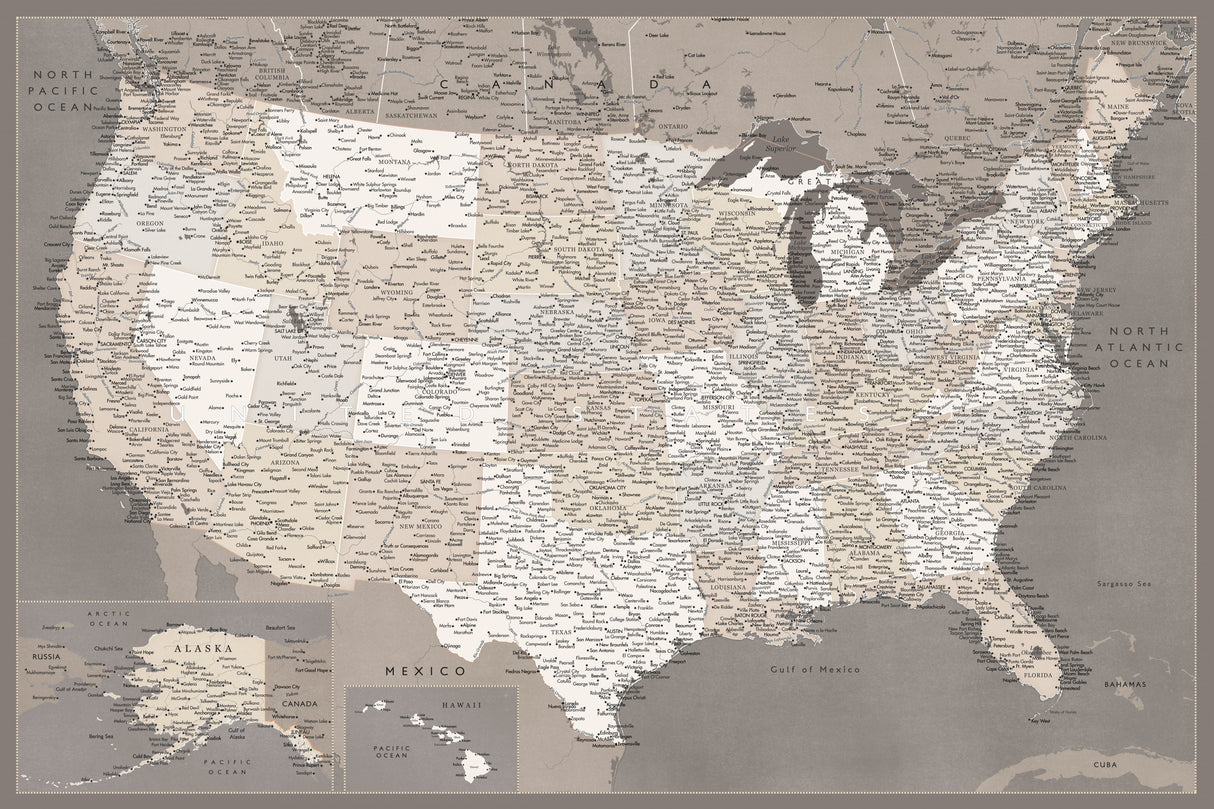 Highly detailed map of the United States, dark taupe Poster och Canvastavla