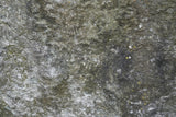 Tex Surface S34 Poster och Canvastavla