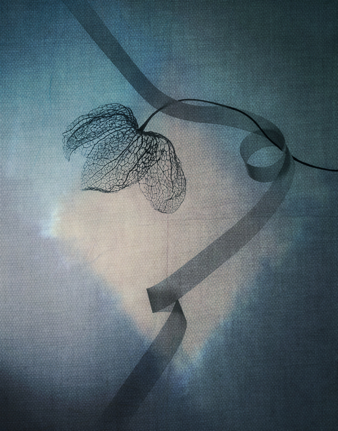 The Beauty Of Sadness Poster och Canvastavla