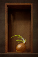 Onion Poster och Canvastavla