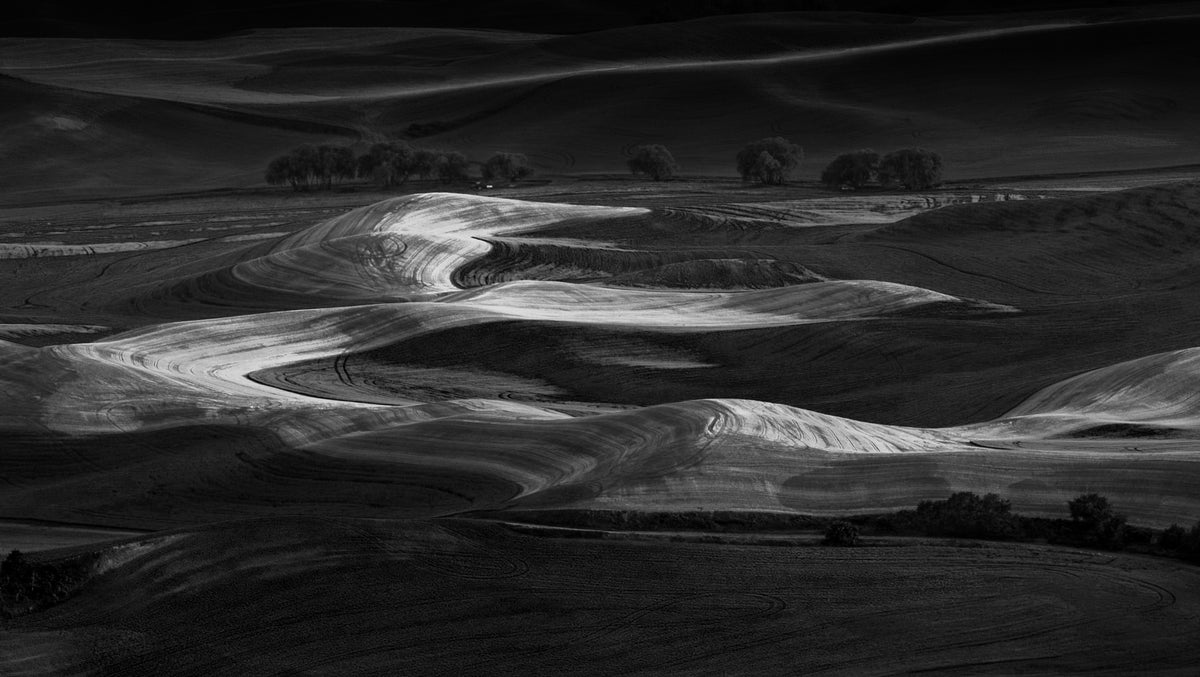 The View Of Palouse Poster och Canvastavla
