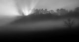 Foggy and sunny weather Poster och Canvastavla