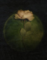 Evermore Poster och Canvastavla