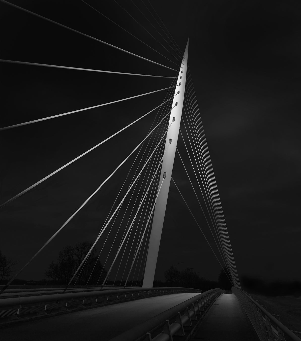 The Calatrava Bridge in the Netherlands Poster och Canvastavla