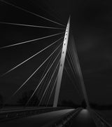 The Calatrava Bridge in the Netherlands Poster och Canvastavla