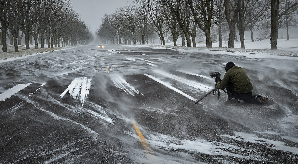 Snow chasing Poster och Canvastavla