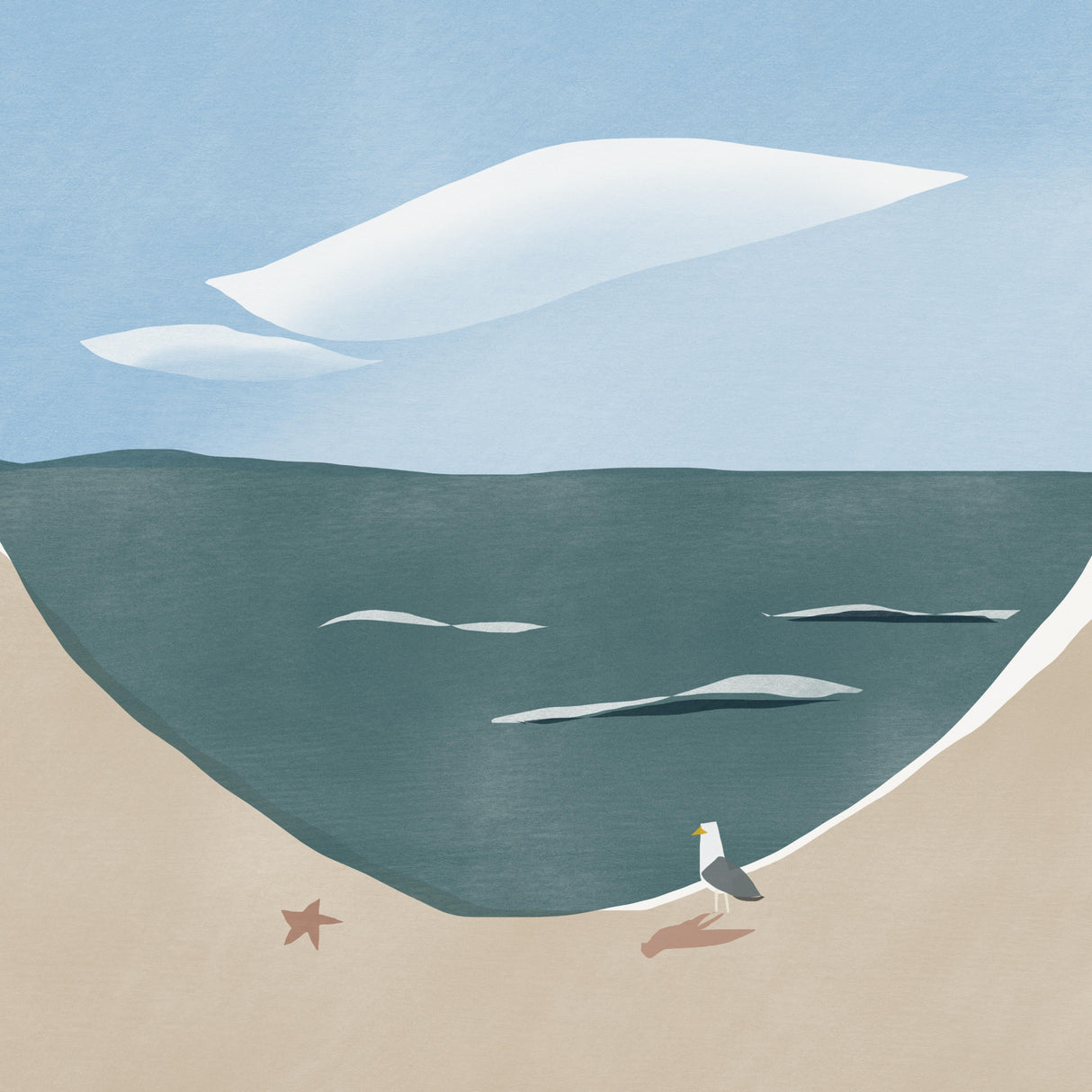 Beach Curve and Seagull Poster och Canvastavla