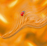 Unstable balance in the wind... Poster och Canvastavla
