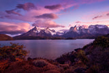 Autumn in Lago Pehoe Poster och Canvastavla