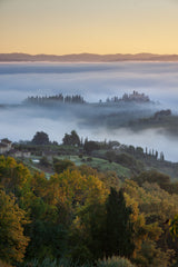 Morning scene in autumn Tuscany Poster och Canvastavla